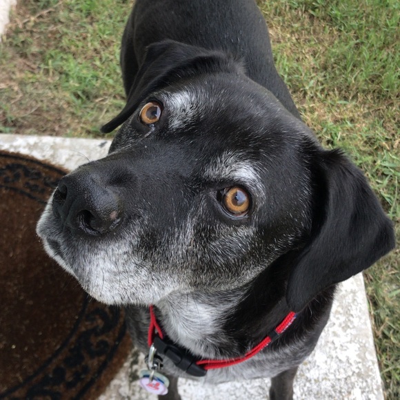 Meet your Posher, Melissa - Picture 4 of 8